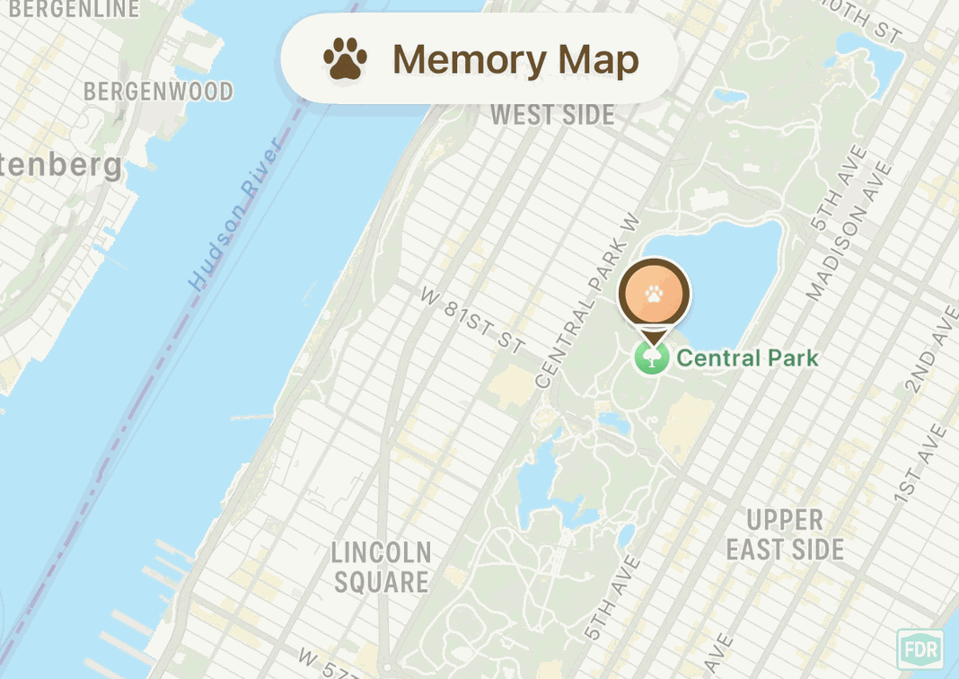 Memory Map of Manhattan with a pin on Central Park where memories were saved